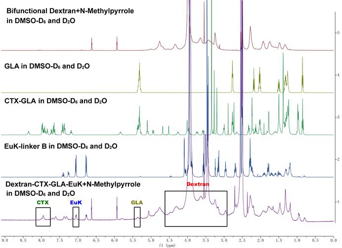 Theranostics Image