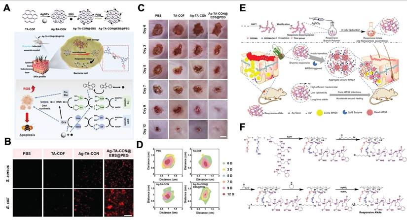 Theranostics Image