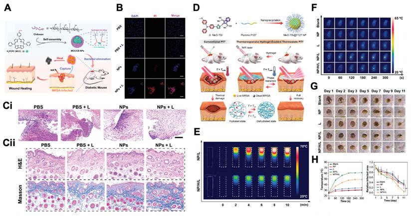 Theranostics Image
