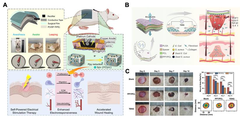 Theranostics Image