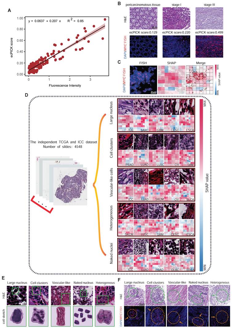 Theranostics Image