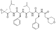 Theranostics inline graphic