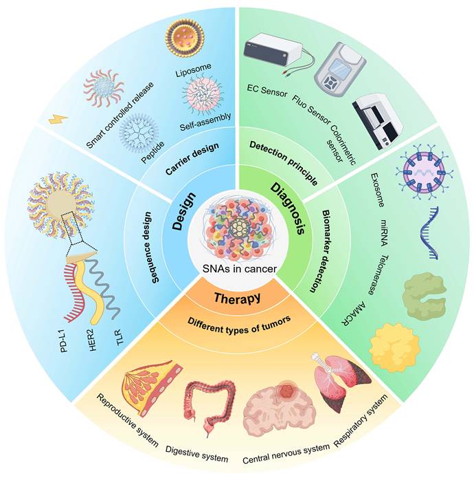 Theranostics Image