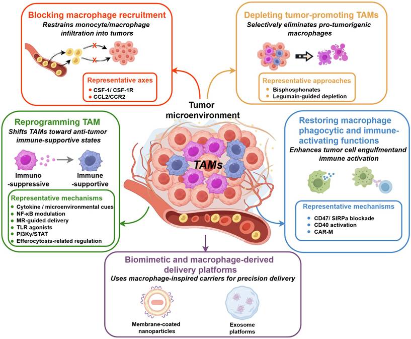 Theranostics Image
