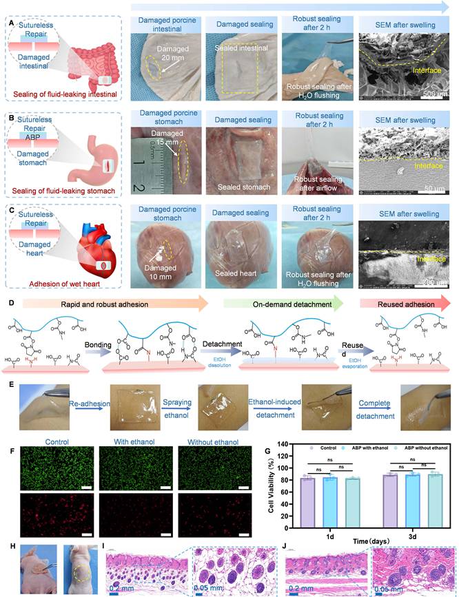 Theranostics Image