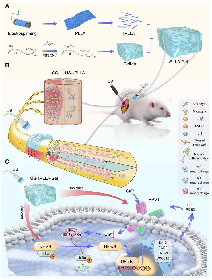 Theranostics Image