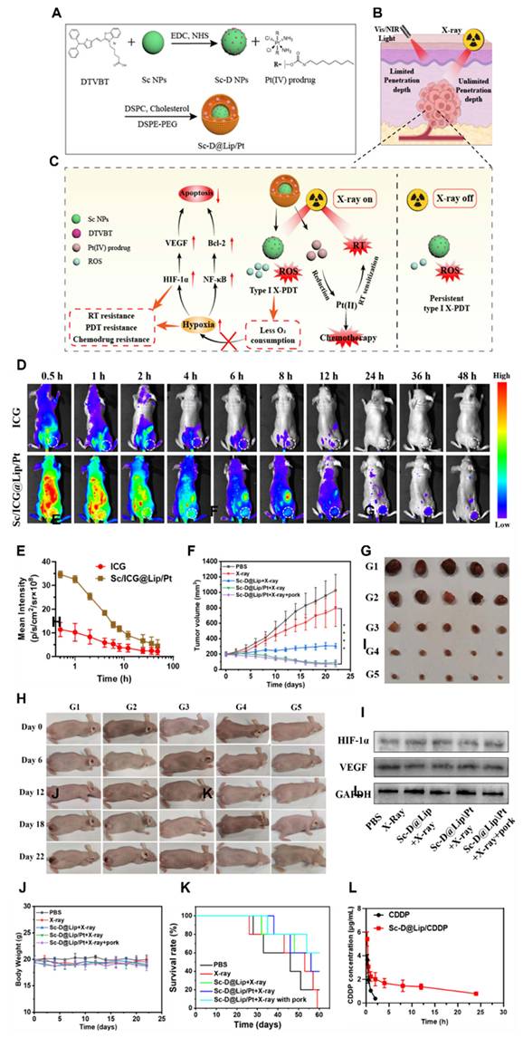 Theranostics Image