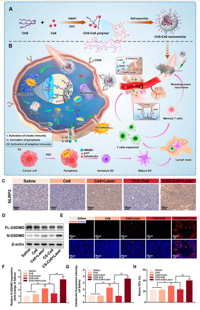 Theranostics Image