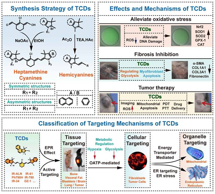 Theranostics Image