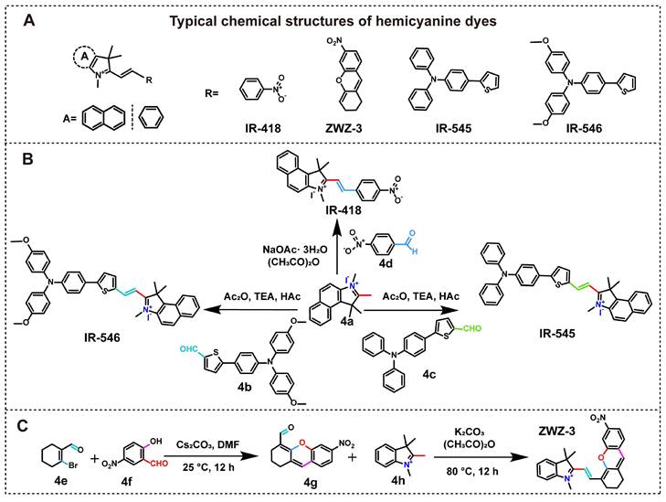 Theranostics Image
