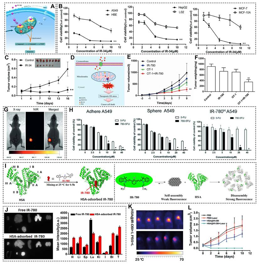 Theranostics Image