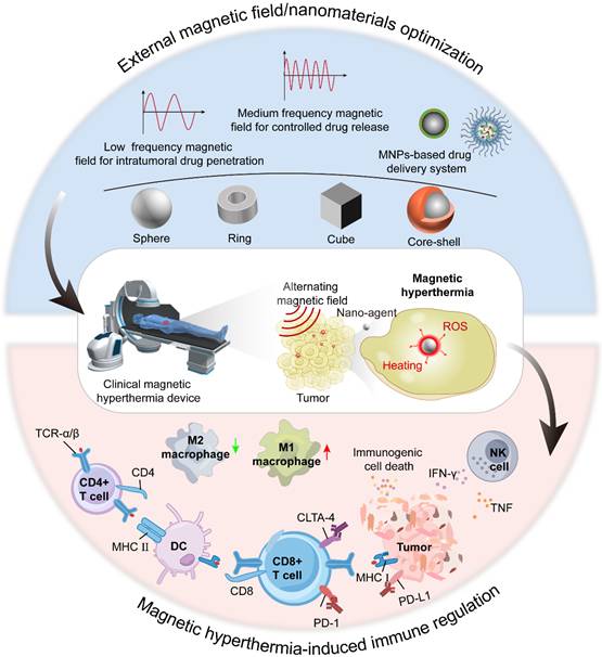 Theranostics Image