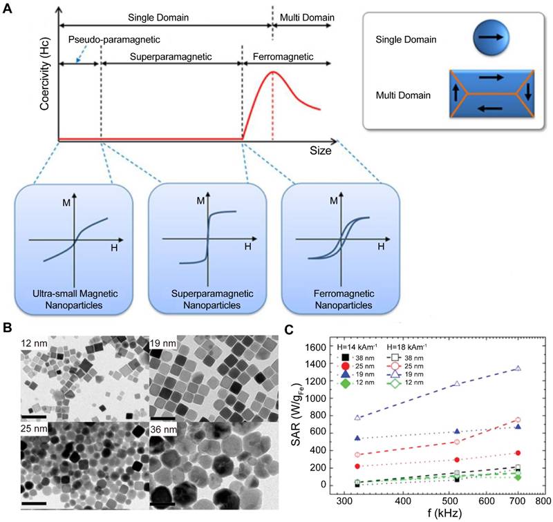 Theranostics Image