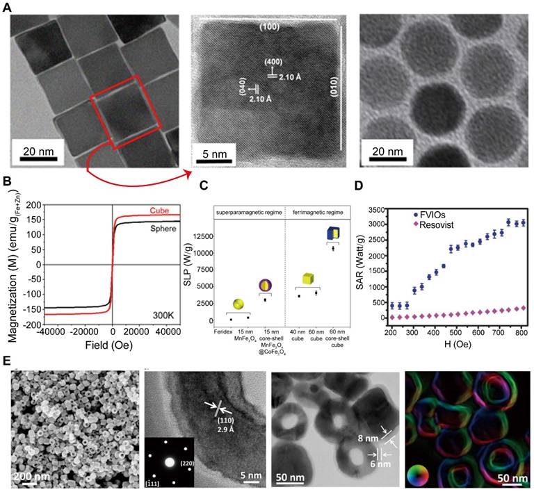 Theranostics Image
