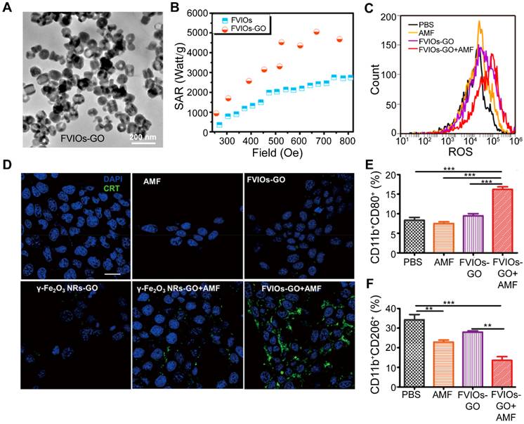 Theranostics Image