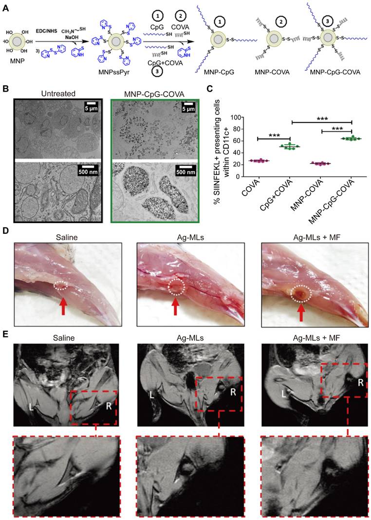 Theranostics Image
