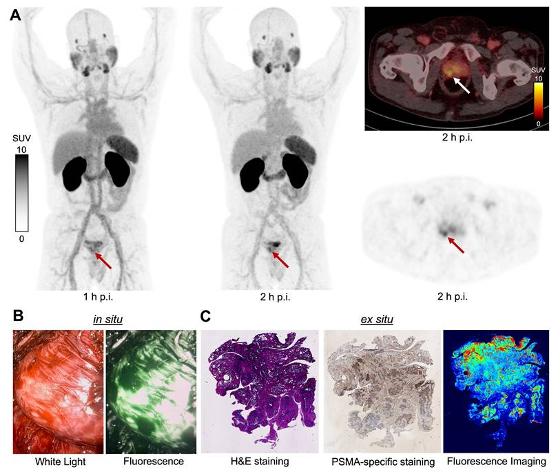 Theranostics Image