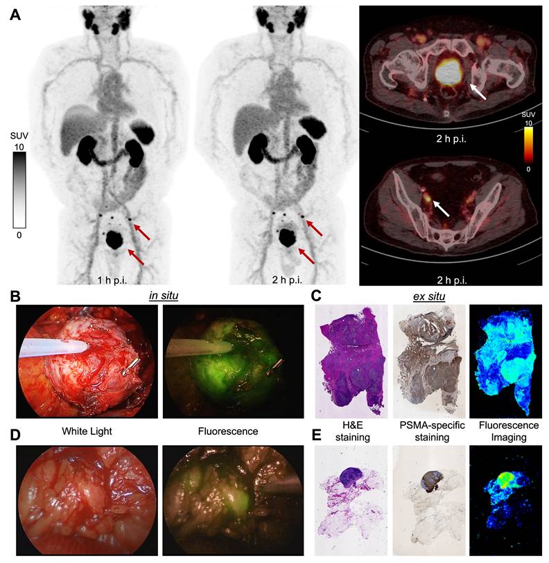 Theranostics Image