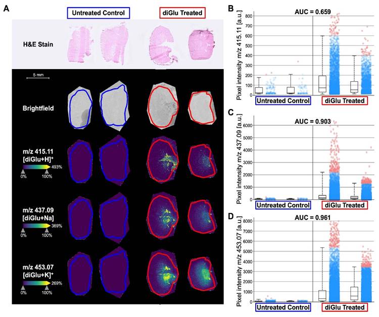 Theranostics Image