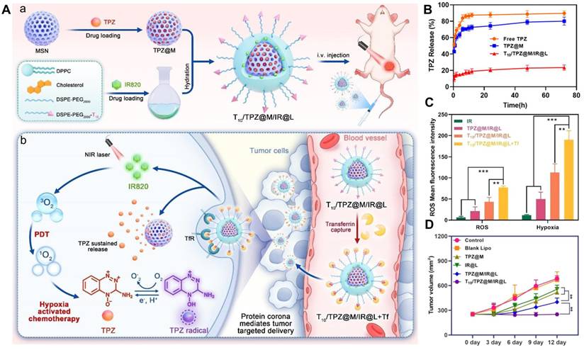 Theranostics Image
