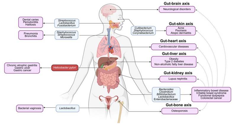 Theranostics Image
