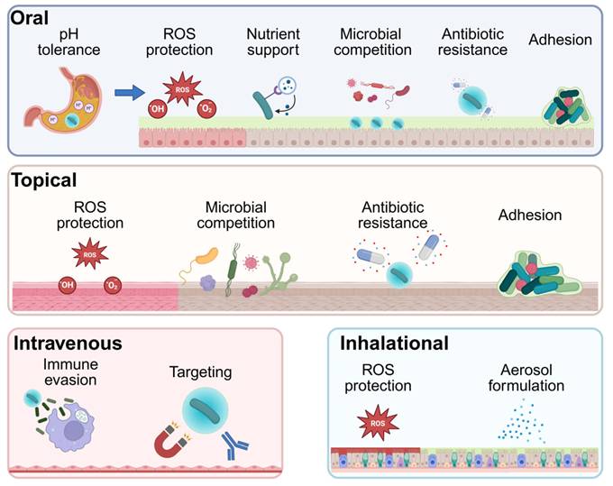 Theranostics Image