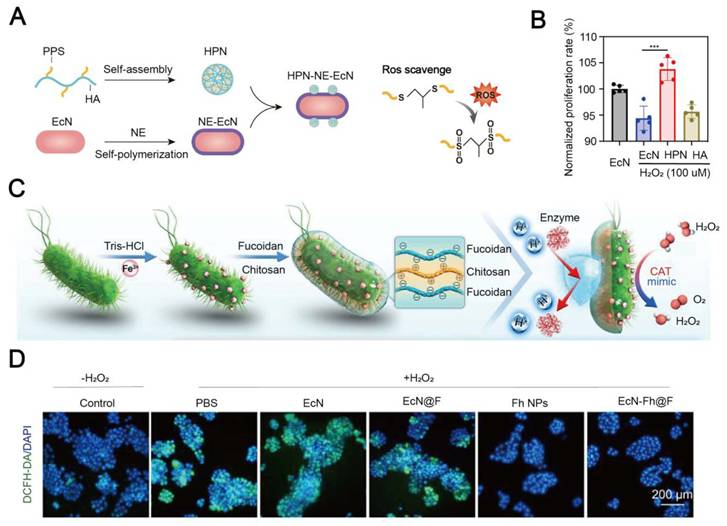 Theranostics Image