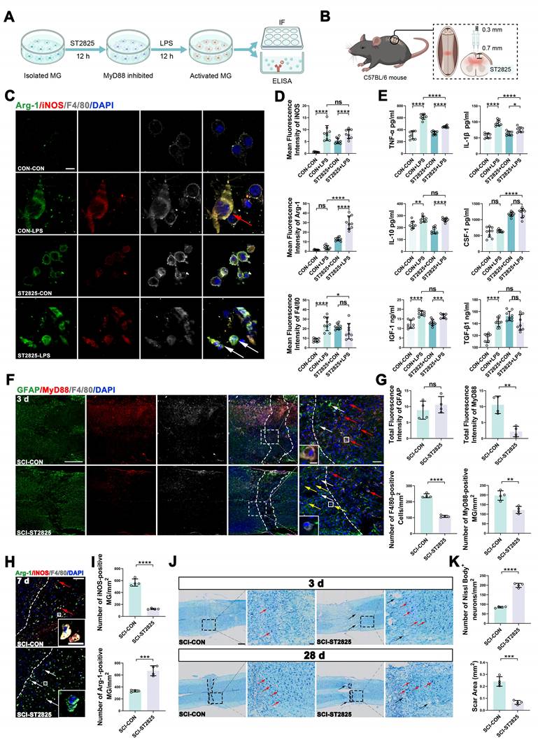 Theranostics Image