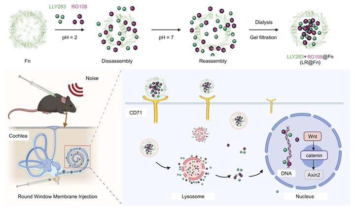 Theranostics Image