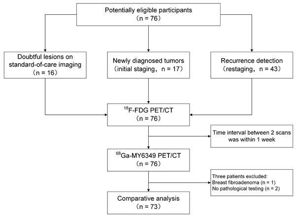 Theranostics Image