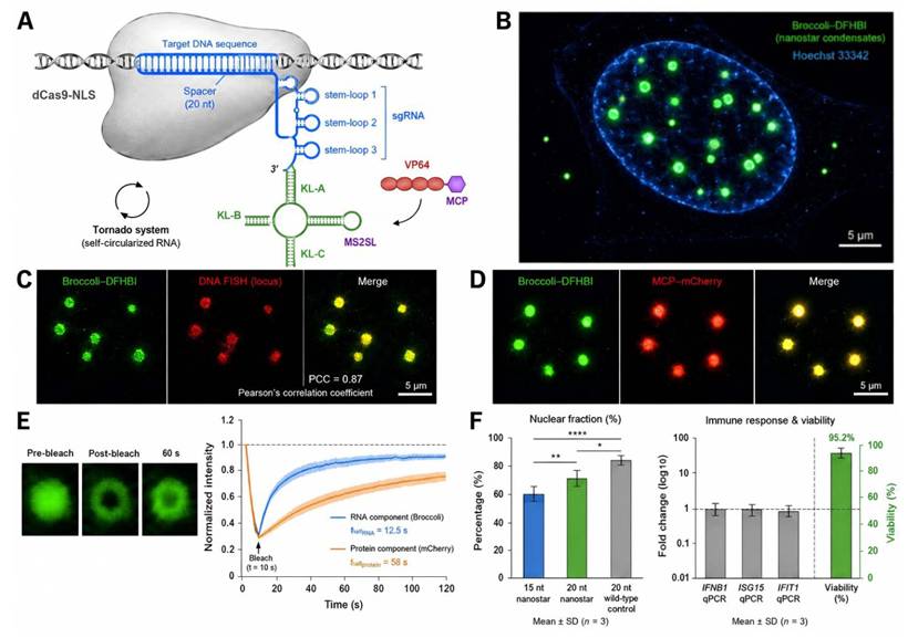 Theranostics Image