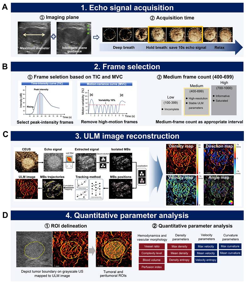 Theranostics Image