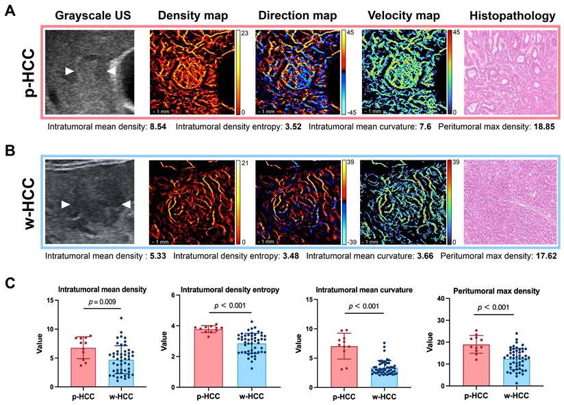 Theranostics Image