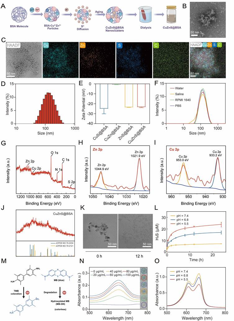 Theranostics Image