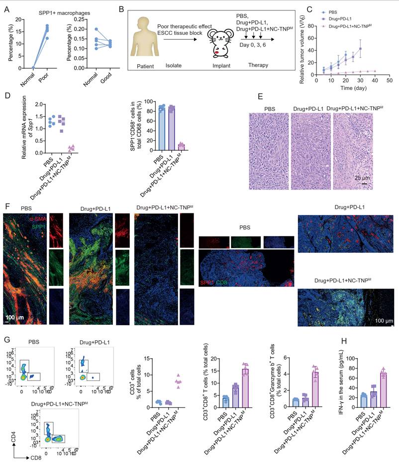 Theranostics Image