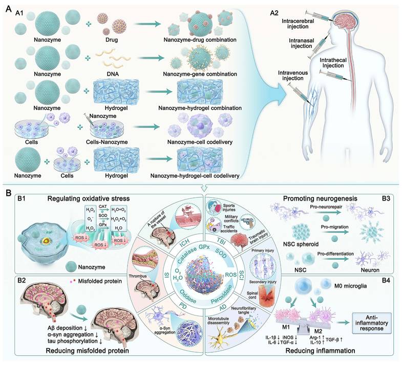 Theranostics Image