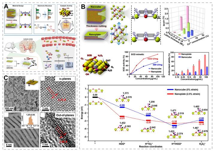 Theranostics Image