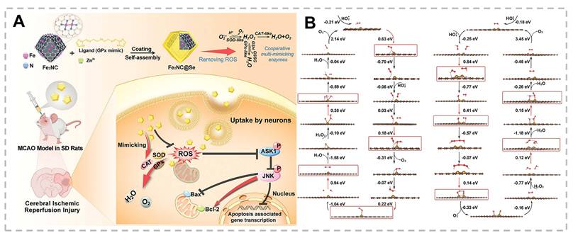 Theranostics Image