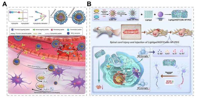 Theranostics Image