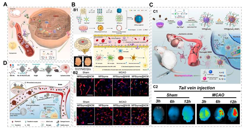 Theranostics Image