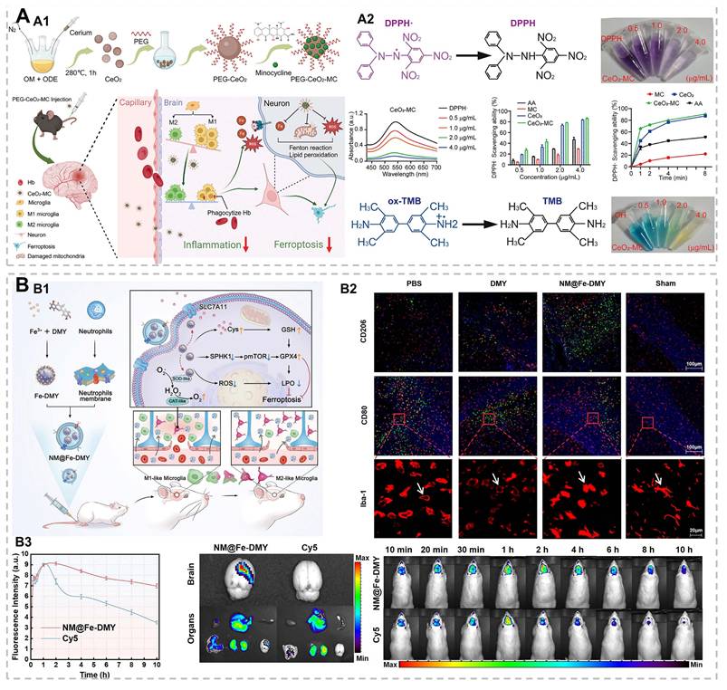 Theranostics Image