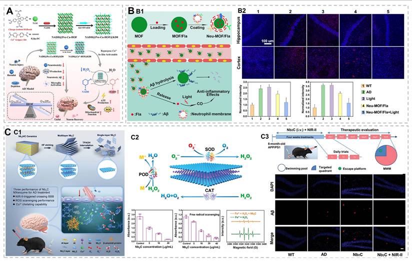 Theranostics Image