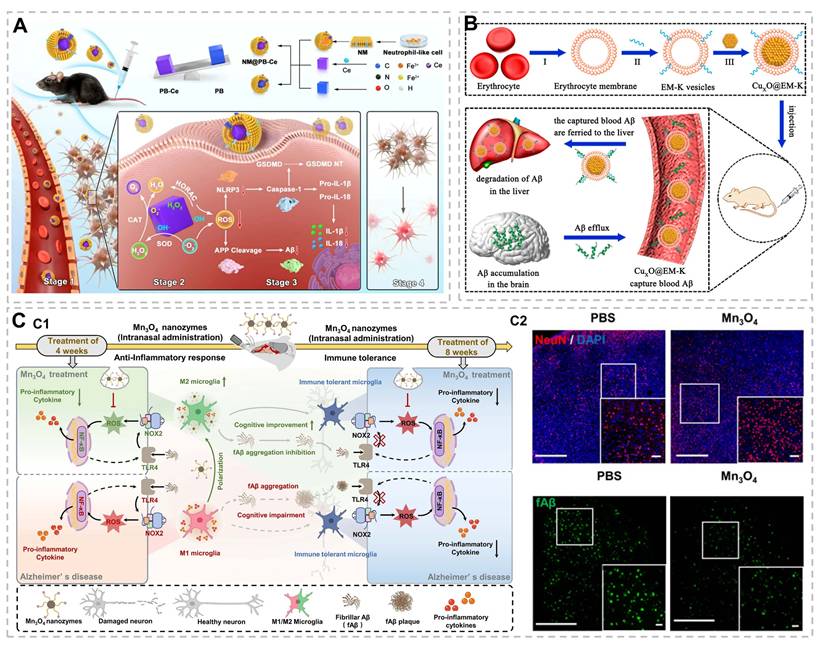 Theranostics Image
