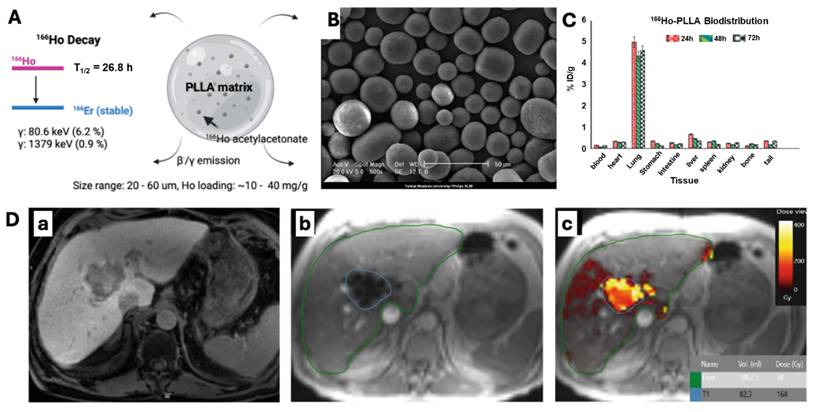 Theranostics Image
