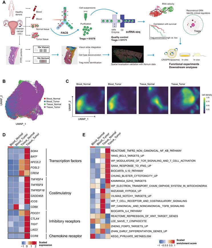 Theranostics Image