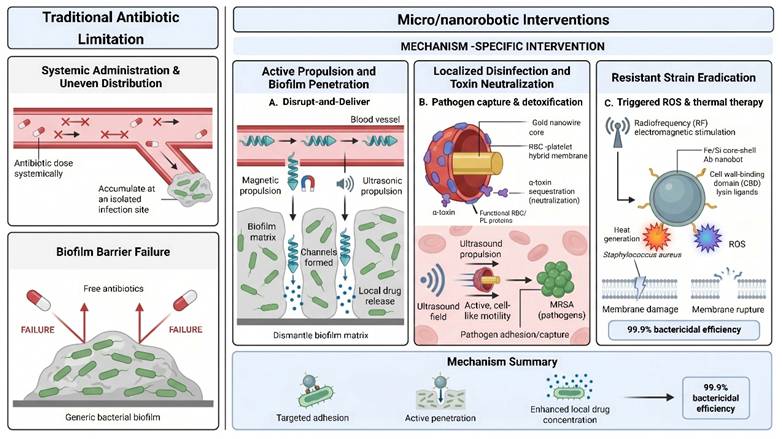 Theranostics Image