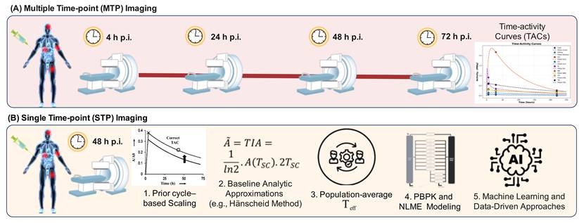 Theranostics Image