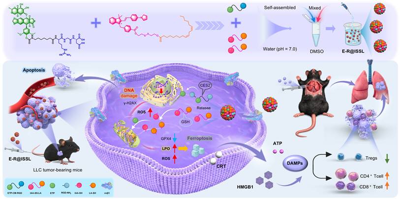 Theranostics Image