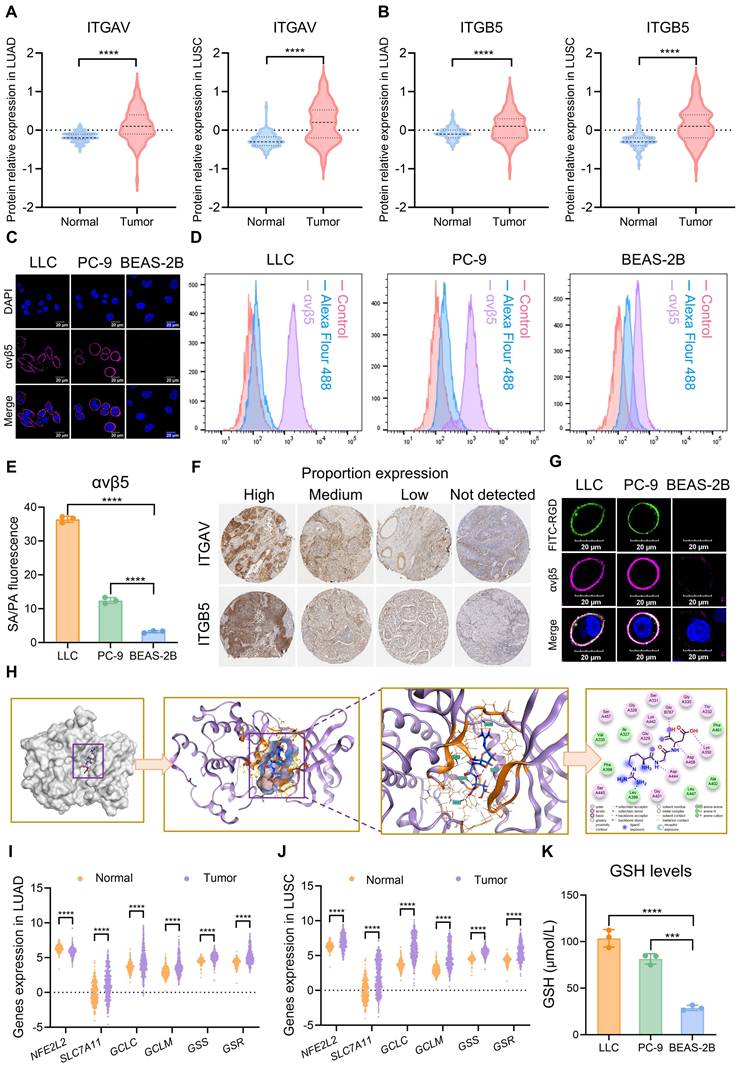 Theranostics Image