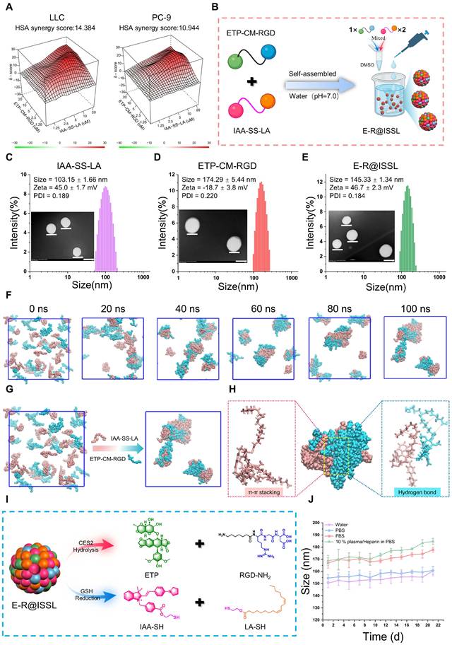 Theranostics Image